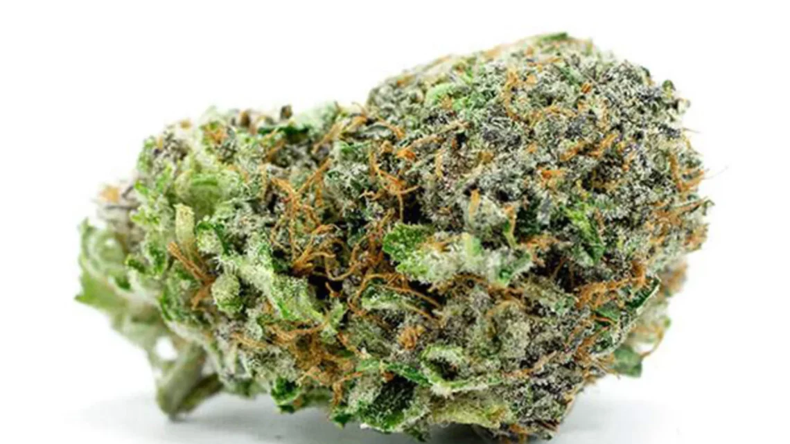 Cake Breath Cookies Marijuana Strain